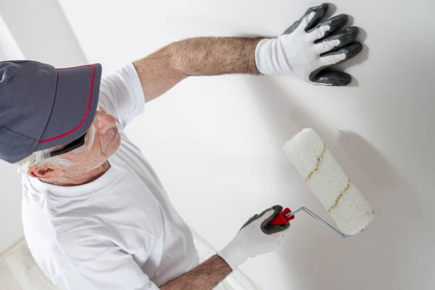 Best Wallpaper Removal and Painting  in Homer, MI