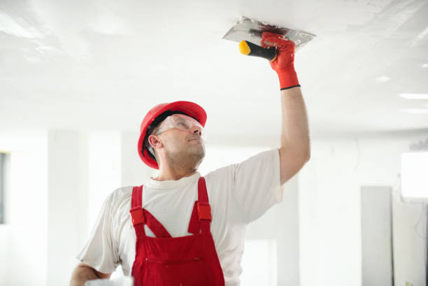 Best Repainting for Renovations  in Homer, MI