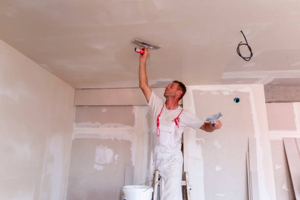 Best Commercial Painting  in Homer, MI