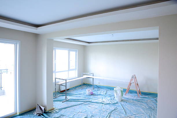 Best Custom Drywall Designs  in Homer, MI